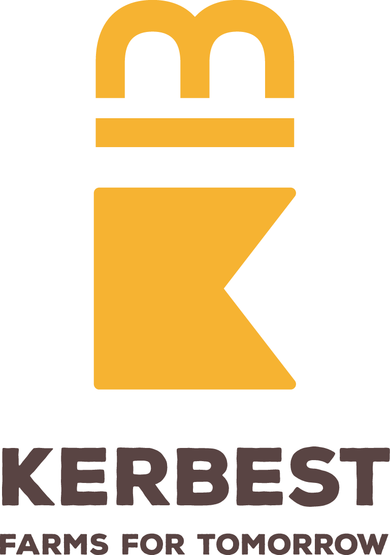 Santa Teresa